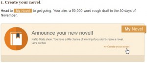 NaNoWriMo Screenshot